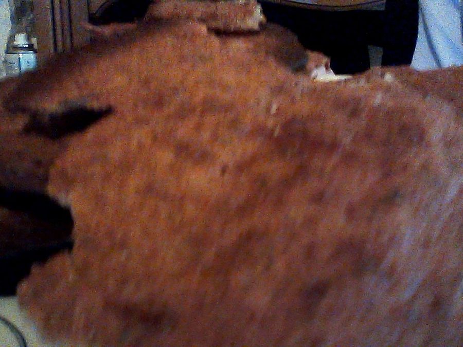Acras de fromage